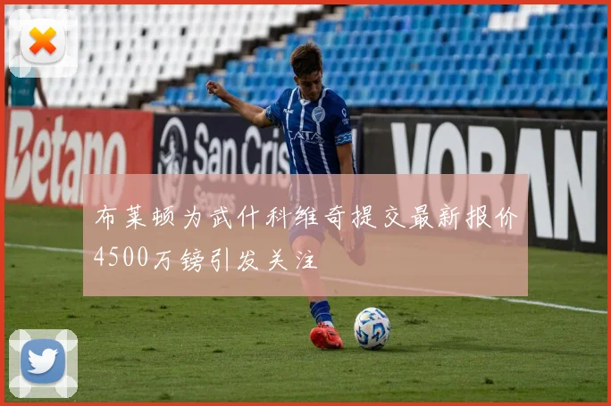 布莱顿为武什科维奇提交最新报价4500万镑引发关注