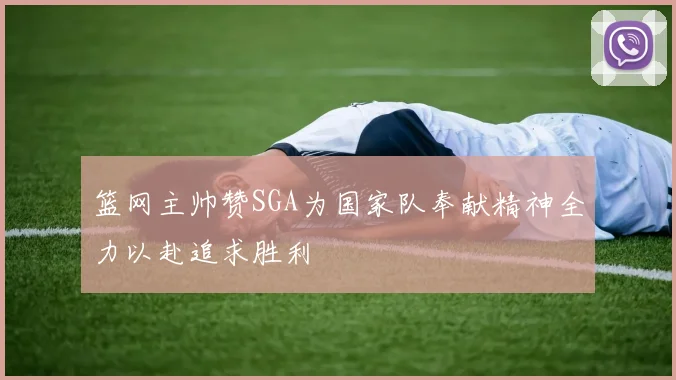篮网主帅赞SGA为国家队奉献精神全力以赴追求胜利